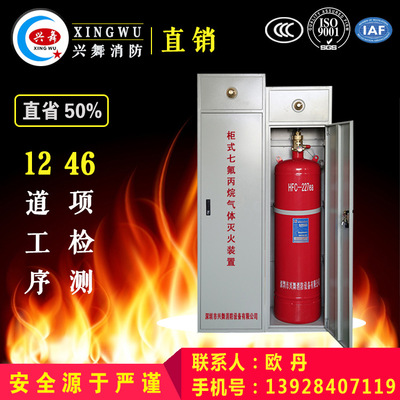 優(yōu)質(zhì)70L柜式七氟丙烷氣體滅火裝置/七氟丙烷滅火機(jī)房自動設(shè)備