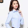 熱賣夏秋長袖女式襯衫 面試職業(yè)正裝藍(lán)色白色襯衣工作服 廠家批發(fā)