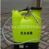 電動式滅火水槍 電動背負(fù)式森林滅火水槍 往復(fù)式滅火水槍
