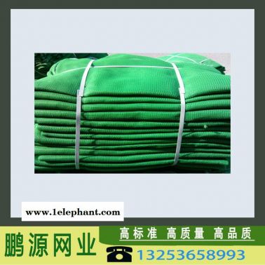 鵬源 ** 安全網(wǎng) 建筑防護(hù)網(wǎng) 密目網(wǎng) 工地隔離安全網(wǎng) 防塵遮陽綠化蓋土網(wǎng)