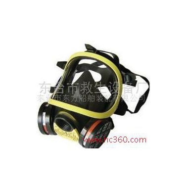 供應(yīng)威爾牌VERH型安全救生器材防護(hù)面具 防毒全面罩 過濾式防毒面具 防塵防毒面罩