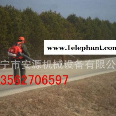 54型吹風(fēng)機(jī) 大棚吹雪機(jī) 森林滅火器 馬路除塵機(jī)器  135