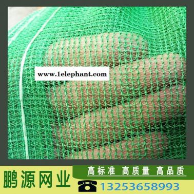 鵬源 **安全網(wǎng) 建筑防護(hù)網(wǎng) 密目網(wǎng)