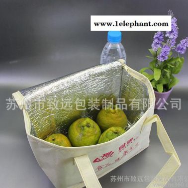 致遠(yuǎn) 無(wú)紡布速凍食物保鮮袋 家用蛋糕保溫袋 無(wú)紡布防水拉鏈冰包