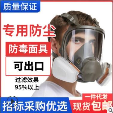 現(xiàn)貨6800硅膠全套面具 農藥噴漆化工全口罩 放粉塵打磨活性防塵罩